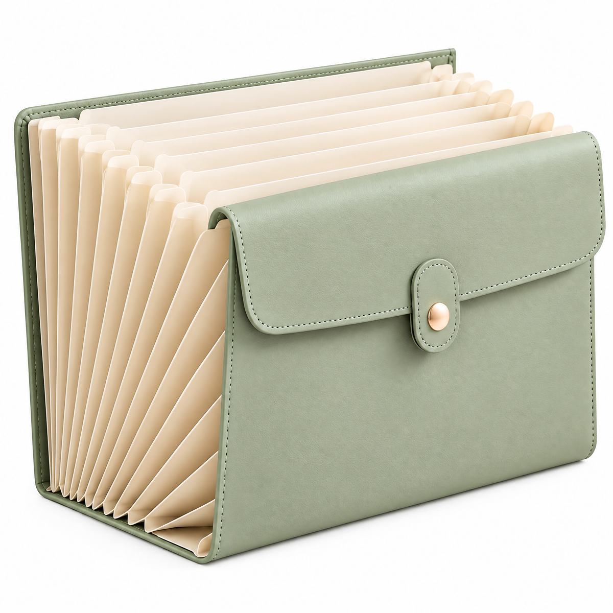 Elqvian™ Premium Accordion File Organizer